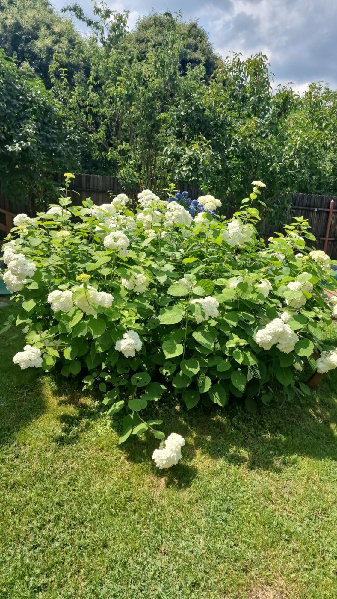 Casa De Vacanta Căciulata Kültér fotó